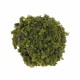 Model Scale Tree Cluster Garden Railway Scenery Layout Miniature Landscape DIY Decorations Model Scale Tree Cluster Garden Railway Scenery Layout Miniature Landscape DIY Decorations