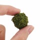 Model Scale Tree Cluster Garden Railway Scenery Layout Miniature Landscape DIY Decorations Model Scale Tree Cluster Garden Railway Scenery Layout Miniature Landscape DIY Decorations