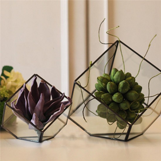 Modern Glass Geometric Terrarium Tabletop Succulent Plants Inclined Container Fern Moss Flower Pot