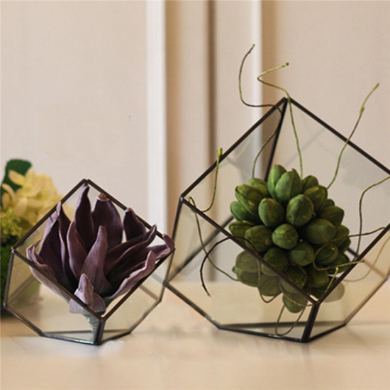 Modern Glass Geometric Terrarium Tabletop Succulent Plants Inclined Container Fern Moss Flower Pot Modern Glass Geometric Terrarium Tabletop Succulent Plants Inclined Container Fern Moss Flower Pot