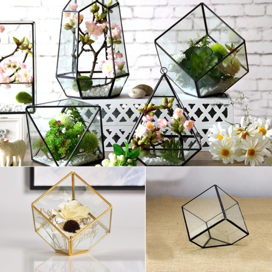 Modern Glass Geometric Terrarium Tabletop Succulent Plants Inclined Container Fern Moss Flower Pot