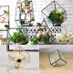 Modern Glass Geometric Terrarium Tabletop Succulent Plants Inclined Container Fern Moss Flower Pot Modern Glass Geometric Terrarium Tabletop Succulent Plants Inclined Container Fern Moss Flower Pot