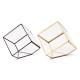 Modern Glass Geometric Terrarium Tabletop Succulent Plants Inclined Container Fern Moss Flower Pot Modern Glass Geometric Terrarium Tabletop Succulent Plants Inclined Container Fern Moss Flower Pot