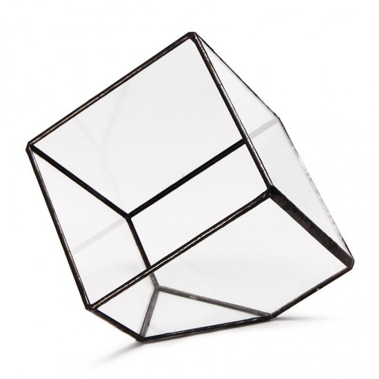 Modern Glass Geometric Terrarium Tabletop Succulent Plants Inclined Container Fern Moss Flower Pot