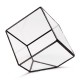 Modern Glass Geometric Terrarium Tabletop Succulent Plants Inclined Container Fern Moss Flower Pot Modern Glass Geometric Terrarium Tabletop Succulent Plants Inclined Container Fern Moss Flower Pot