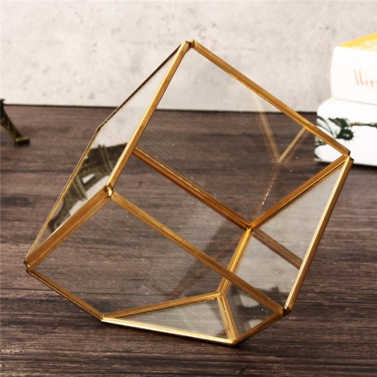 Modern Glass Geometric Terrarium Tabletop Succulent Plants Inclined Container Fern Moss Flower Pot