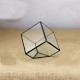 Modern Glass Geometric Terrarium Tabletop Succulent Plants Inclined Container Fern Moss Flower Pot Modern Glass Geometric Terrarium Tabletop Succulent Plants Inclined Container Fern Moss Flower Pot