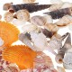 Natural Conch Shells Decorations Natural Conch Shells Decorations