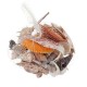 Natural Conch Shells Decorations