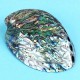 Natural Fine Polished Abalone Shell Seashells Conch 10-12cm Home Fish Tank Decorations Natural Fine Polished Abalone Shell Seashells Conch 10-12cm Home Fish Tank Decorations