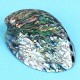 Natural Fine Polished Abalone Shell Seashells Conch 10-12cm Home Fish Tank Decorations