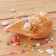 Natural Shell Conch Phoenix Ear Conch Coral Sea Beach Ornament Fish Tank Decorations