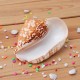 Natural Shell Conch Phoenix Ear Conch Coral Sea Beach Ornament Fish Tank Decorations Natural Shell Conch Phoenix Ear Conch Coral Sea Beach Ornament Fish Tank Decorations