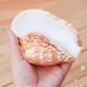 Natural Shell Conch Phoenix Ear Conch Coral Sea Beach Ornament Fish Tank Decorations