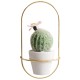 Nordic Modern Succulent Flower Planter Pot With Iron Pot Shelf Stand Garden Decoration Nordic Modern Succulent Flower Planter Pot With Iron Pot Shelf Stand Garden Decoration