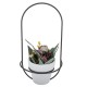 Nordic Modern Succulent Flower Planter Pot With Iron Pot Shelf Stand Garden Decoration Nordic Modern Succulent Flower Planter Pot With Iron Pot Shelf Stand Garden Decoration