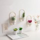 Nordic Modern Succulent Flower Planter Pot With Iron Pot Shelf Stand Garden Decoration Nordic Modern Succulent Flower Planter Pot With Iron Pot Shelf Stand Garden Decoration