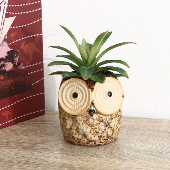 Owl Ceramic Flower Pot Thumb Succulent Plant Pots Flower Pot Planter Ceramic Bonsai