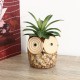Owl Ceramic Flower Pot Thumb Succulent Plant Pots Flower Pot Planter Ceramic Bonsai Owl Ceramic Flower Pot Thumb Succulent Plant Pots Flower Pot Planter Ceramic Bonsai
