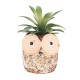 Owl Ceramic Flower Pot Thumb Succulent Plant Pots Flower Pot Planter Ceramic Bonsai Owl Ceramic Flower Pot Thumb Succulent Plant Pots Flower Pot Planter Ceramic Bonsai