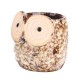 Owl Ceramic Flower Pot Thumb Succulent Plant Pots Flower Pot Planter Ceramic Bonsai Owl Ceramic Flower Pot Thumb Succulent Plant Pots Flower Pot Planter Ceramic Bonsai