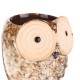 Owl Ceramic Flower Pot Thumb Succulent Plant Pots Flower Pot Planter Ceramic Bonsai