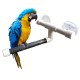 Pet Bird Perch Parrot Shower Stand Wall Suction Cup Toys Paw Grinding Shower Shelf Decorations