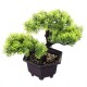 Pine Bonsai Simulation Flowers and Wreaths Artificial Flowers Decorations