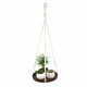 Plant Hanger Indoor Outdoor Hanging Plant Holder Hanging Planter Stand Flower Pots for Decorations Plant Hanger Indoor Outdoor Hanging Plant Holder Hanging Planter Stand Flower Pots for Decorations