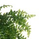 Plastic Artificial Green Vines Plant Home Garden Decorations Wall Hanging Novelty Plastic Artificial Green Vines Plant Home Garden Decorations Wall Hanging Novelty