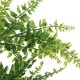 Plastic Artificial Green Vines Plant Home Garden Decorations Wall Hanging Novelty Plastic Artificial Green Vines Plant Home Garden Decorations Wall Hanging Novelty