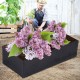 Raised Garden Bag Raised Garden Bag