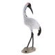 Realistic Red-crowned Crane Outdoor Home Lawn Pond Ornament Sculpture Decorations Realistic Red-crowned Crane Outdoor Home Lawn Pond Ornament Sculpture Decorations