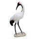Realistic Red-crowned Crane Outdoor Home Lawn Pond Ornament Sculpture Decorations Realistic Red-crowned Crane Outdoor Home Lawn Pond Ornament Sculpture Decorations