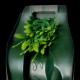 Reptile Drink Water Fountain Chameleon Lizard Dispenser Simulated Habitat Pump Automatic Waterer