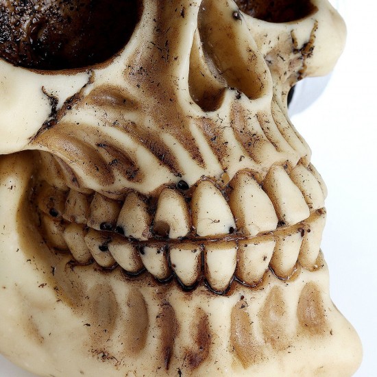 Resin Craft Statues For Decoration Skull Wthe Headphone Creative Skull Figurines Sculpture
