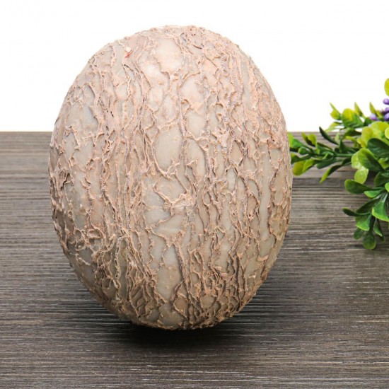 Segnosaur Dinosaur Egg Simulation Fossilized Fossil Teaching Specimen Room Decorations Gift