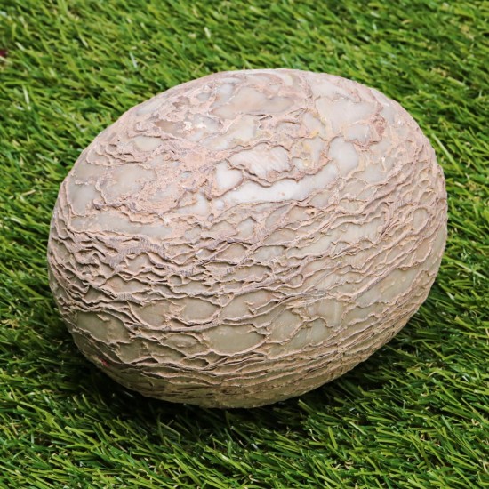 Segnosaur Dinosaur Egg Simulation Fossilized Fossil Teaching Specimen Room Decorations Gift