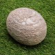 Segnosaur Dinosaur Egg Simulation Fossilized Fossil Teaching Specimen Room Decorations Gift