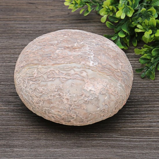 Segnosaur Dinosaur Egg Simulation Fossilized Fossil Teaching Specimen Room Decorations Gift