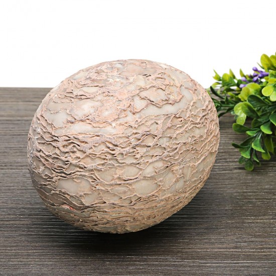 Segnosaur Dinosaur Egg Simulation Fossilized Fossil Teaching Specimen Room Decorations Gift