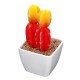 Simulating Cactus Bonsai and Simulating Creative Car Ornaments of Mock Succulents Plants Simulating Cactus Bonsai and Simulating Creative Car Ornaments of Mock Succulents Plants