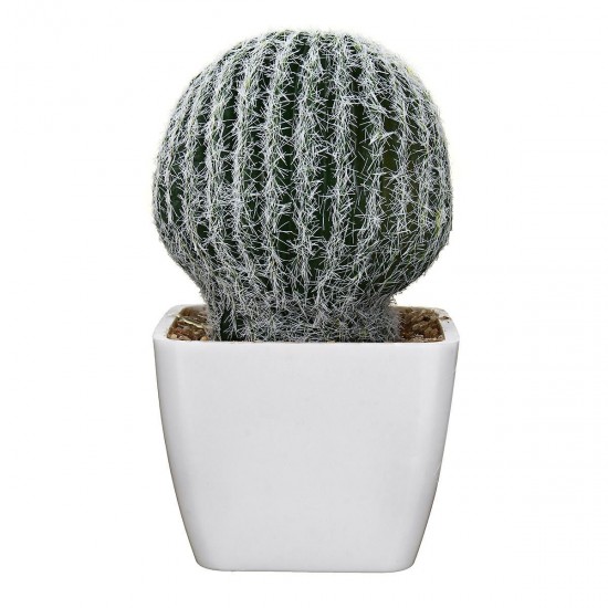 Simulating Cactus Bonsai and Simulating Creative Car Ornaments of Mock Succulents Plants Simulating Cactus Bonsai and Simulating Creative Car Ornaments of Mock Succulents Plants
