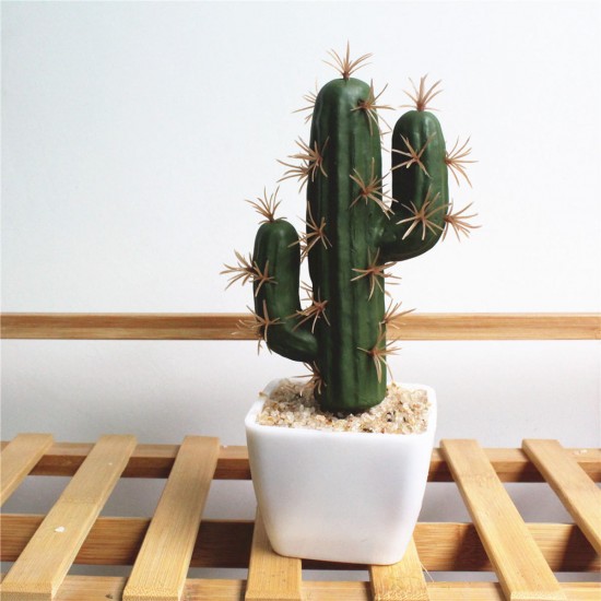 Simulating Cactus Bonsai and Simulating Creative Car Ornaments of Mock Succulents Plants Simulating Cactus Bonsai and Simulating Creative Car Ornaments of Mock Succulents Plants