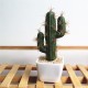 Simulating Cactus Bonsai and Simulating Creative Car Ornaments of Mock Succulents Plants Simulating Cactus Bonsai and Simulating Creative Car Ornaments of Mock Succulents Plants