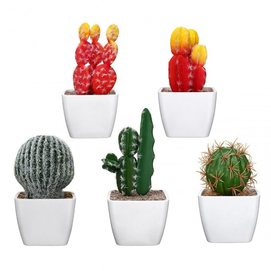 Simulating Cactus Bonsai and Simulating Creative Car Ornaments of Mock Succulents Plants Simulating Cactus Bonsai and Simulating Creative Car Ornaments of Mock Succulents Plants