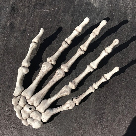 Skeleton Skull Claw Hand Bone Mischievous Halloween Carnival Accessory Decorations Skeleton Skull Claw Hand Bone Mischievous Halloween Carnival Accessory Decorations