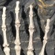 Skeleton Skull Claw Hand Bone Mischievous Halloween Carnival Accessory Decorations