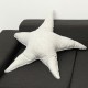 Starfish Plush Toy Doll Baby Kids Child Cute Gift Pillow Cushion Sofa Home Decor Starfish Plush Toy Doll Baby Kids Child Cute Gift Pillow Cushion Sofa Home Decor