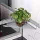 Storage Rack Shelf Home Office Corner Triangle Iron Desktop Organizer Plant Holder Storage Rack Shelf Home Office Corner Triangle Iron Desktop Organizer Plant Holder